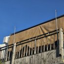 로로포레 이미지