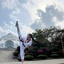 경희대 한 태권도장 이미지