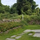 제주젬젬 이미지