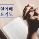 MD사역교회 주일예배 대표기도문 1 이미지