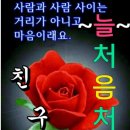 늘처음처럼 이미지