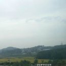 산과들공인중개사사무소 이미지