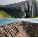 솔터농장 이미지