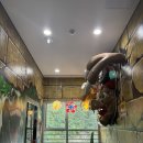 두리정보 | 양주 아이와 가볼만한곳 두리랜드 곤충박물관 내돈내산 후기(할인정보,동물체험 등)