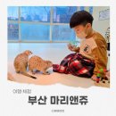 마리앤쥬 | 부산 실내동물원 마리앤쥬 서면 후기, 아이와 가기 좋은 곳