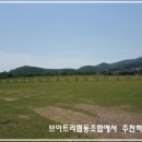 협동조합고인돌 이미지
