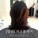 차오헤어