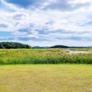 초록카운티