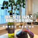 트레이더스 홀세일클럽 안성점 티스토리