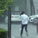 남현동-37 이미지