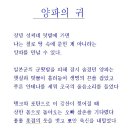 양파시배지 티스토리