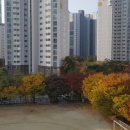 매천근린공원 이미지