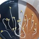 명작푸드 이미지