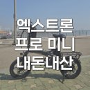 퀄리 엑스트론 프로 미니 내돈내산 출퇴근용 전기자전거 후기