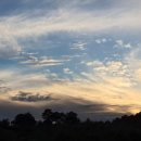 미숙농장 이미지