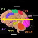 공부의욕, 아이의 사춘기를 대비하는 힘 이미지