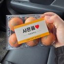 인천카센터 카트리스 인천검단오류점 렙솔 엔진오일 교체 후기 (엔진관리 제대로 한 날)