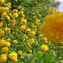 검바위약수터 이미지