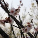 용두공원#1 이미지