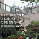 CGV Salon 서초 네이버블로그