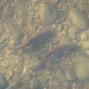 우두동 자전거도로 이미지