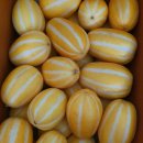 칠봉농장 이미지