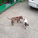 오남농장 이미지