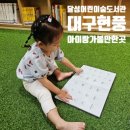 금호4가동어린이작은도서관 | 현풍 아이랑 갈만한 곳 찾는다면 신상 달성어린이숲도서관 두돌아기 나들이 솔직후기