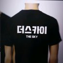 더스카이풀빌라 이미지