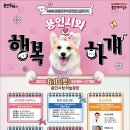 행복하개 티스토리
