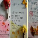 초롱별 이미지