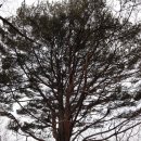 차돌배기로1 이미지