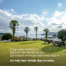 좋은데 애견펜션