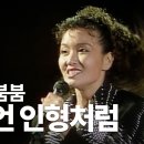 나미와 머슴아들. 이미지