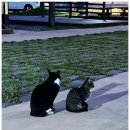 정읍시 국민여가캠핑장 | 정읍 국민여가캠핑장 우선예약방법, 카라반 후기