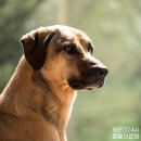 해운대 24시 동물의료원 이미지