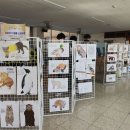 의왕고등학교 이미지