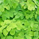 임가농장 이미지