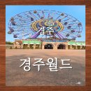 매직카월드 | 경주월드 주차 할인 지도 놀이기구 동선 경주 아이랑 가볼만한 곳 드라켄 파에톤 타임라이더 후기