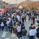 덕산 은행나무길 이미지