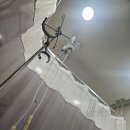 마미사랑산후조리원 | 부산 마미캠프산후조리원 대연본점 후기 ③｜2주 생활 끝! 퇴소·비용 총정리 + 다시 조리원에 간다면?