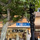 강변 뒷뜰 | 25년 11월 상하이 4박5일 - (1)