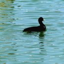 빛가람 호수공원 이미지