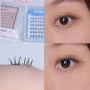 요즘핫한 노글루속눈썹 코링코뮤즈 깜빡샤벳 내돈내산 후기