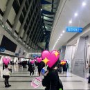 포커스투어대구 이미지