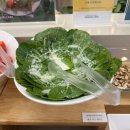 올데이 | 평택 만세로맛집 무한리필 샤브올데이 내돈내산후기