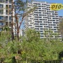 김태현공인중개사사무소 이미지