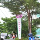 [경기 시흥시] 조금 늦었지만 연꽃테마파크 방문후기~ 산책하기 좋은곳~