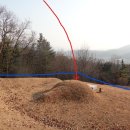 원양참치 이미지