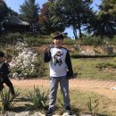 강철 태권도 | 양평 임실치즈마을 체험학습 후기